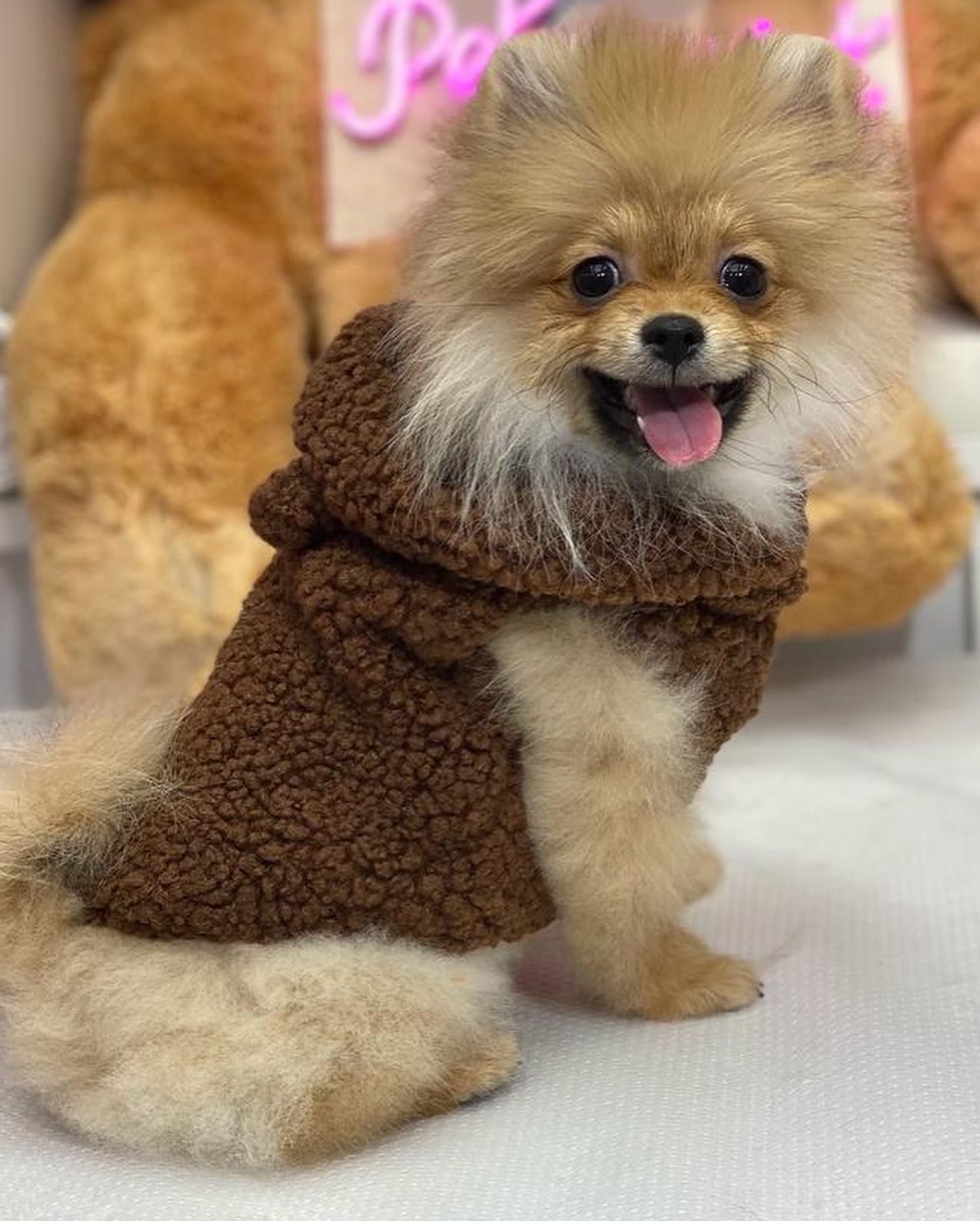 Teddy Yelek