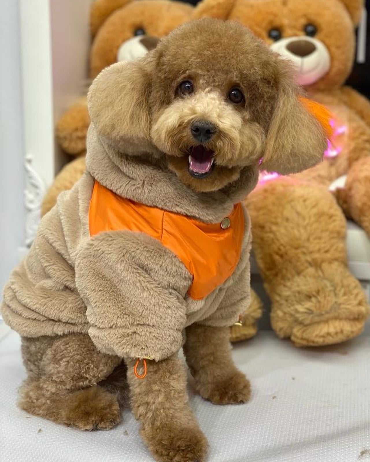 Alaska Peluş Mont