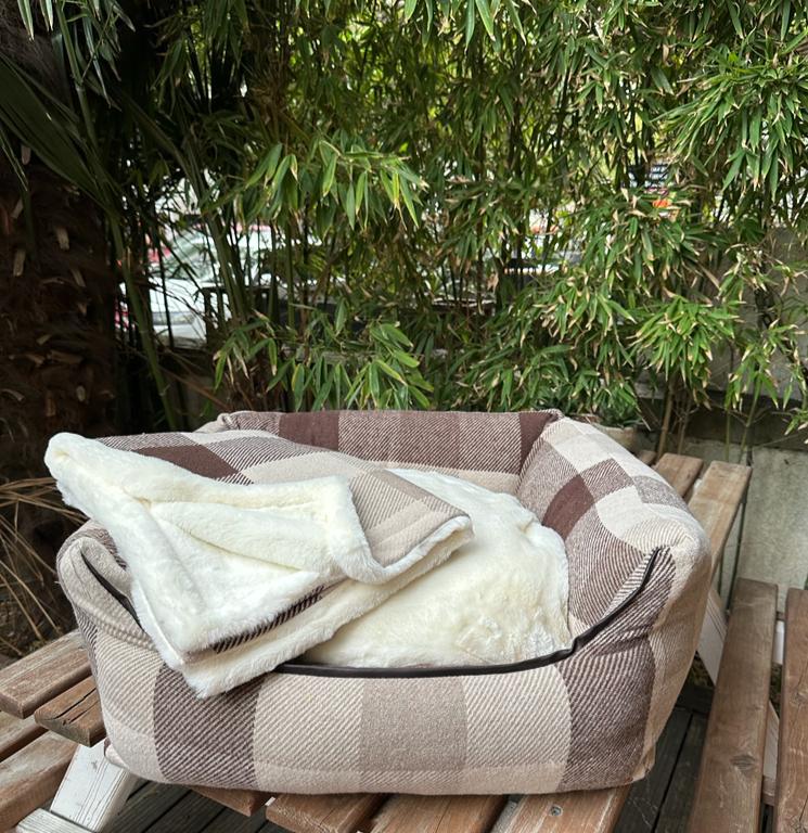 Cozy Camel Yatak