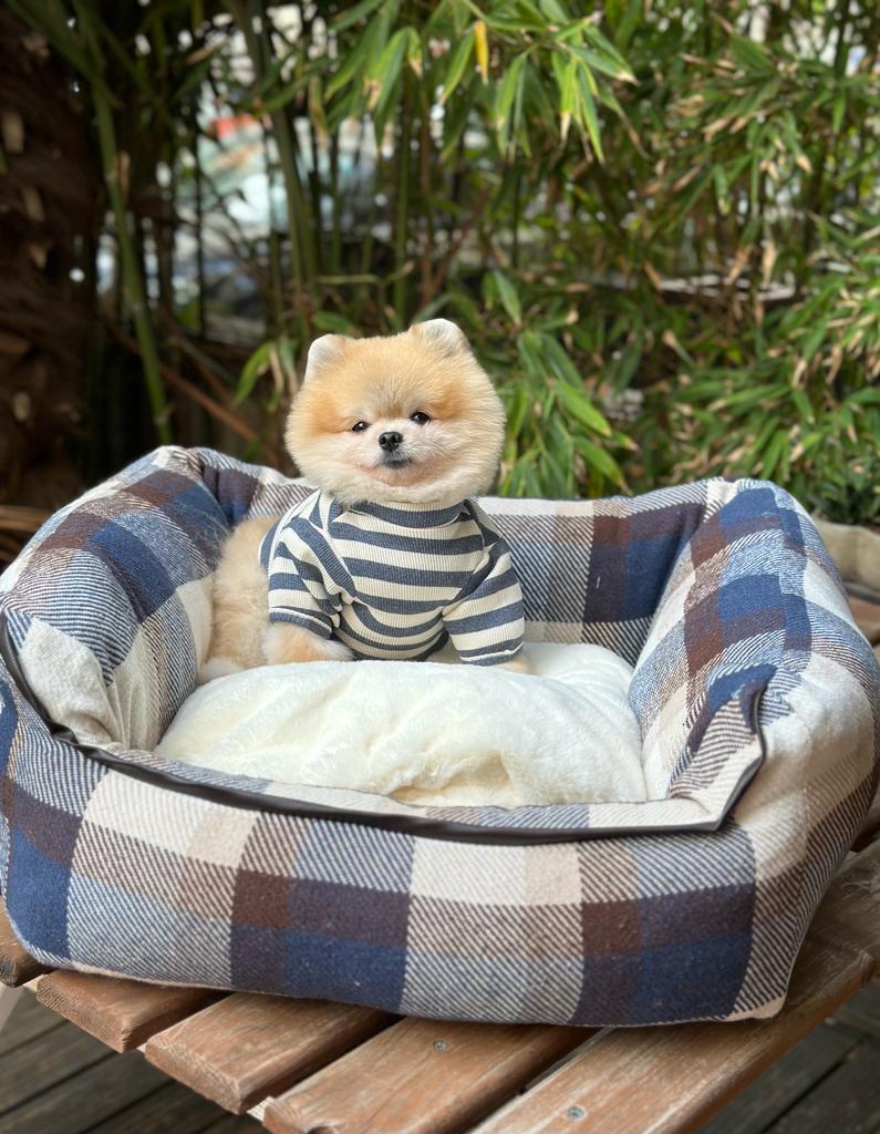 Cozy Royal Yatak
