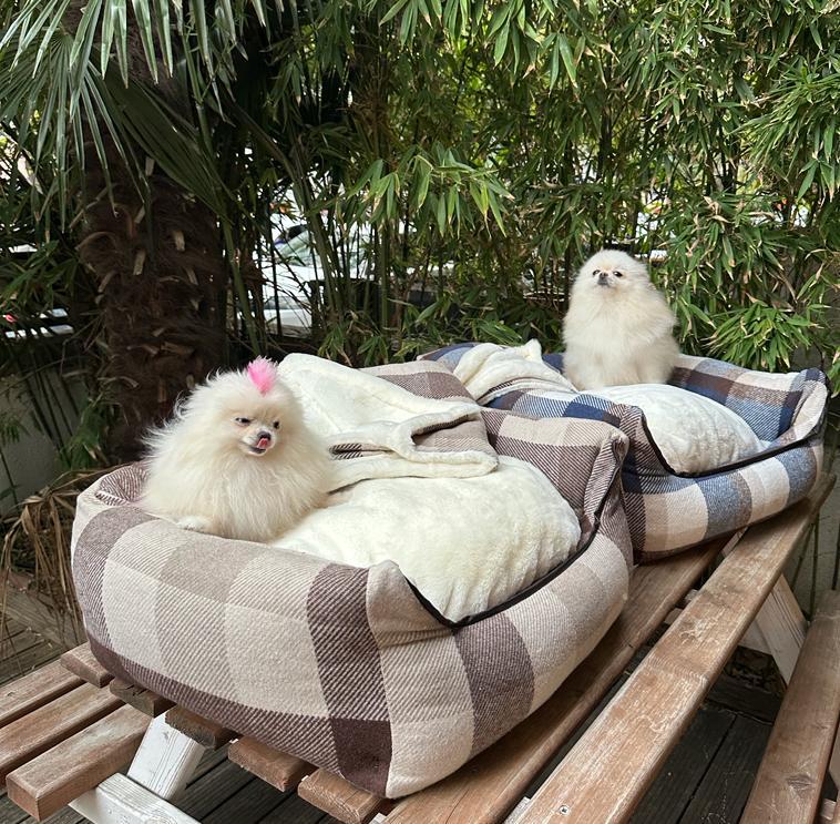 Cozy Camel Yatak