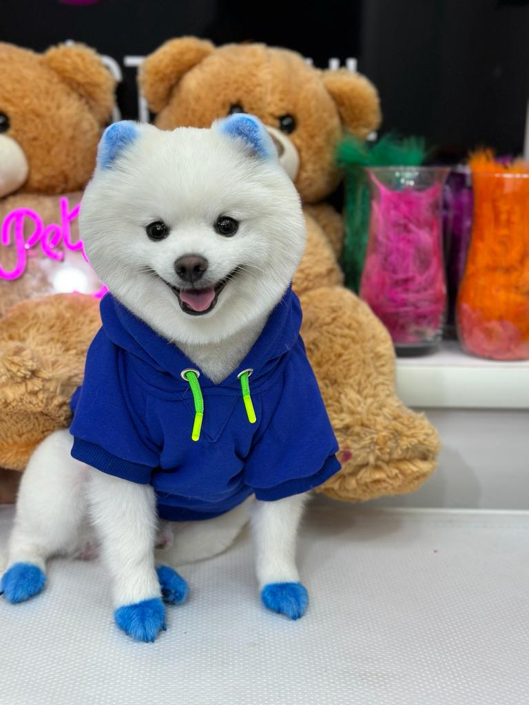 Rapper Sweatshirt