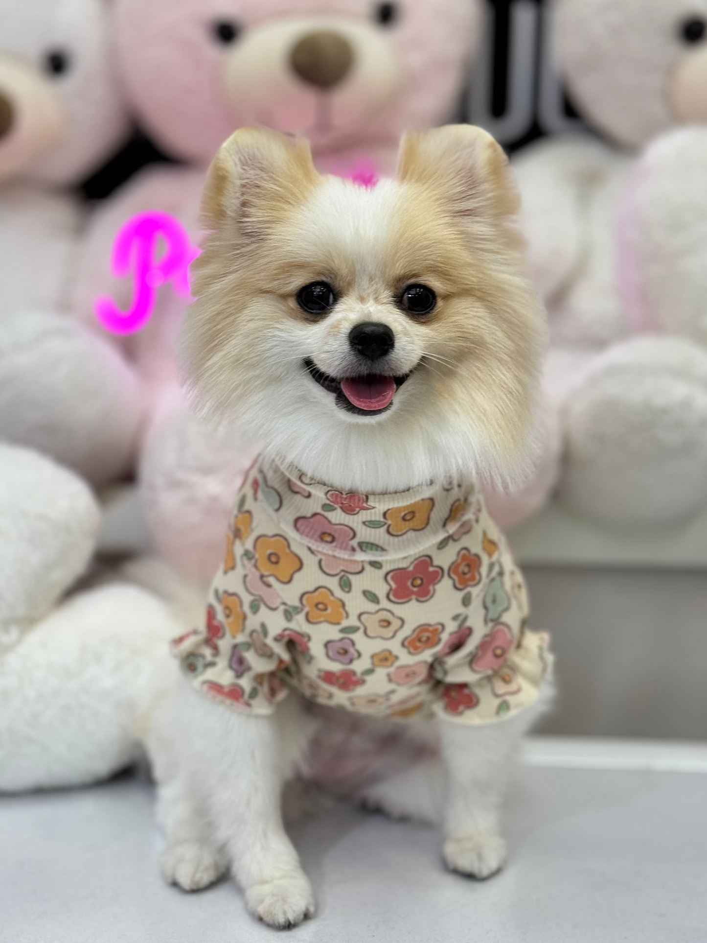 Blossom Basic