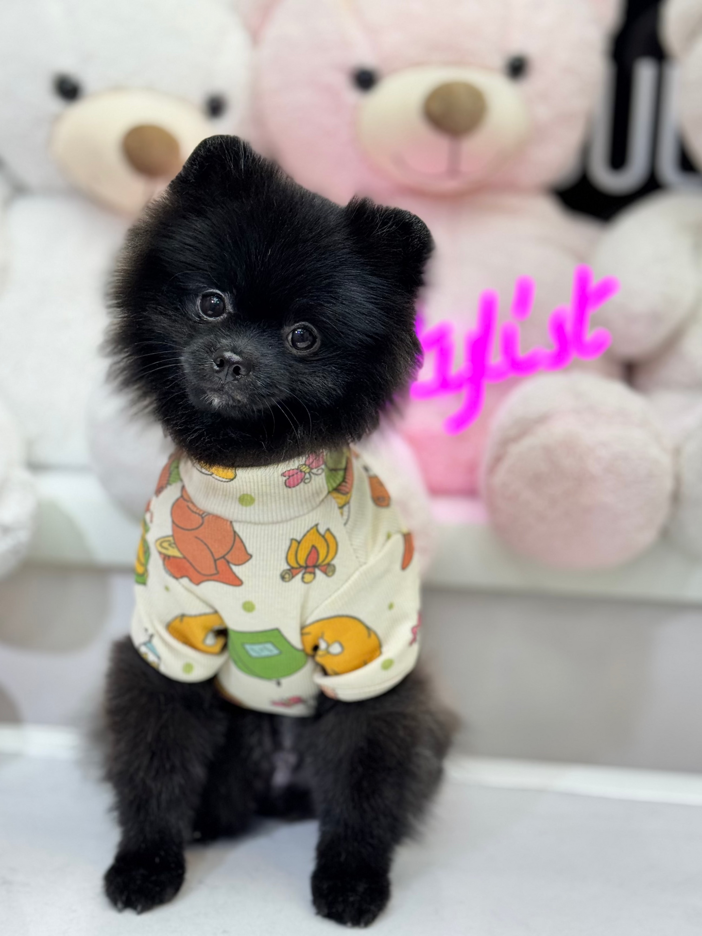 Camper Bear Basic