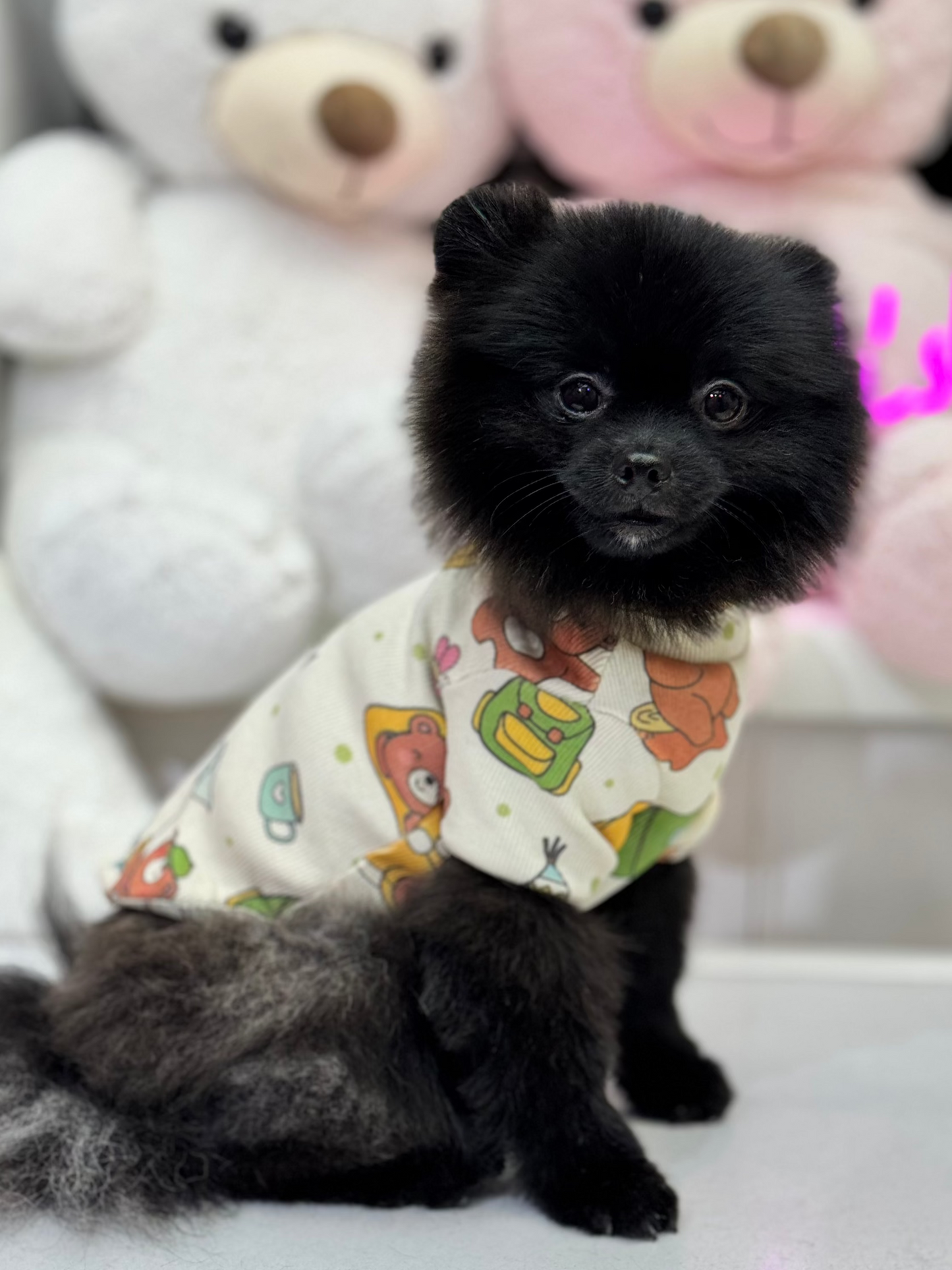 Camper Bear Basic