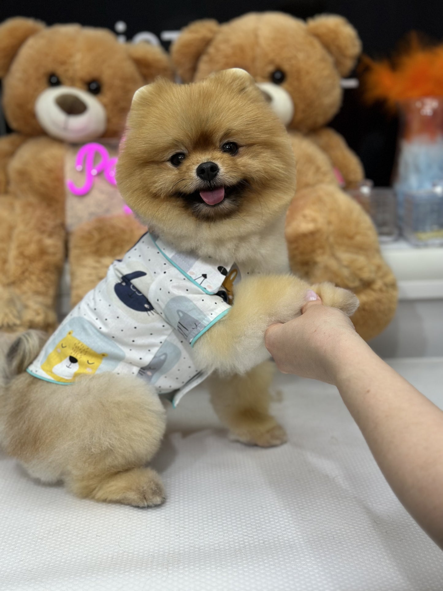 Cool Teddy Gömlek