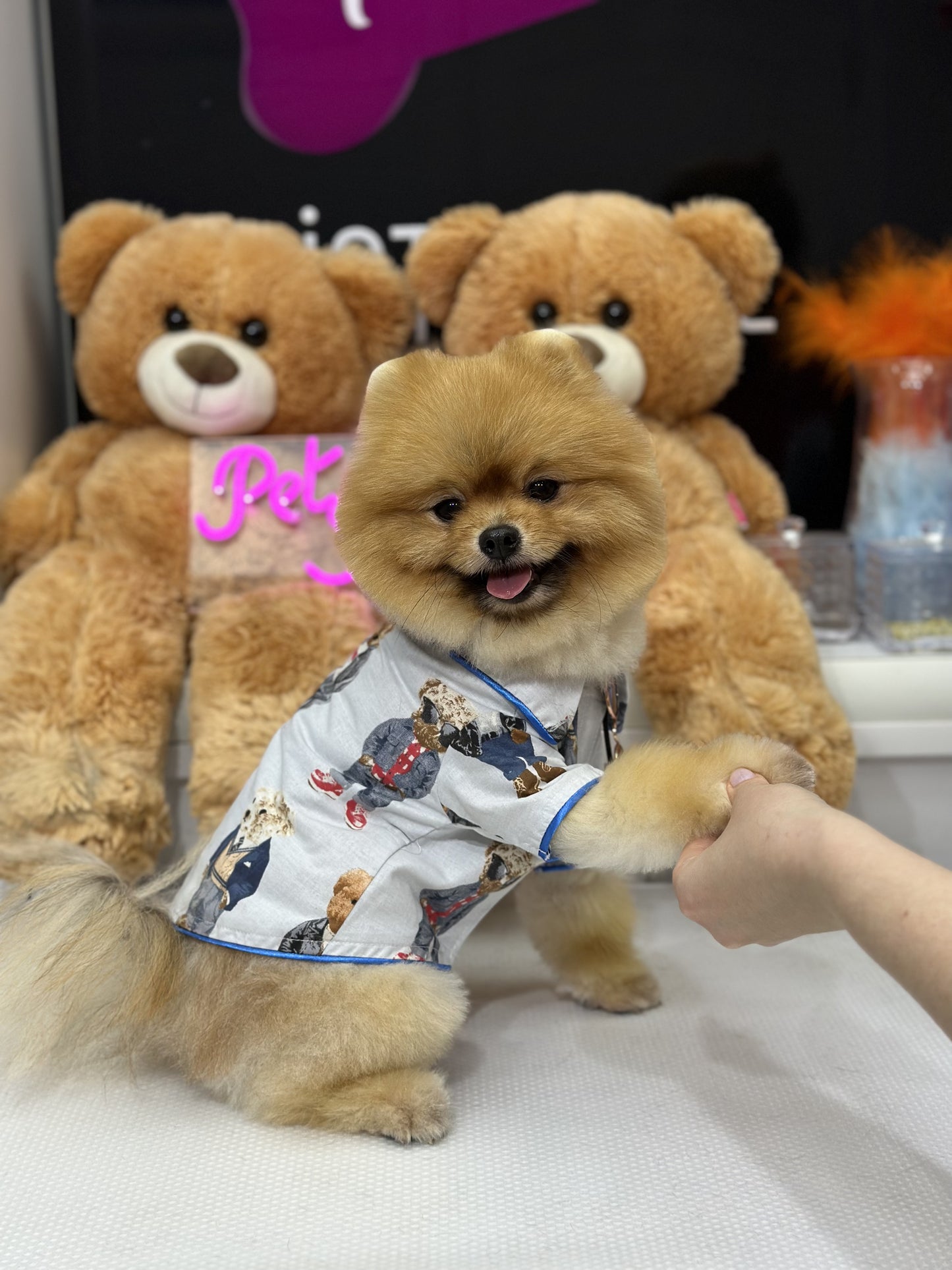 Cool Teddy Gömlek