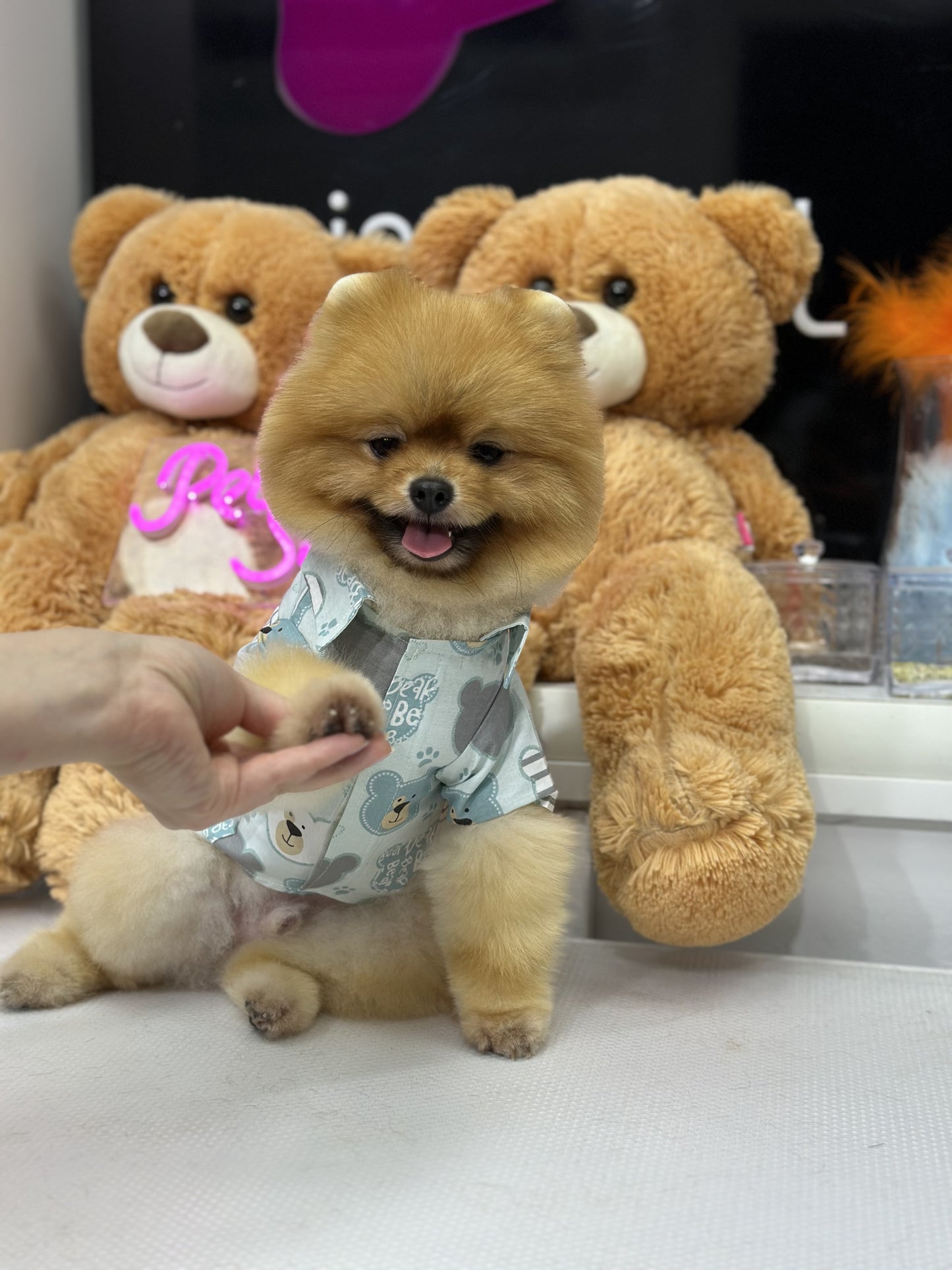 Teddy Gömlek