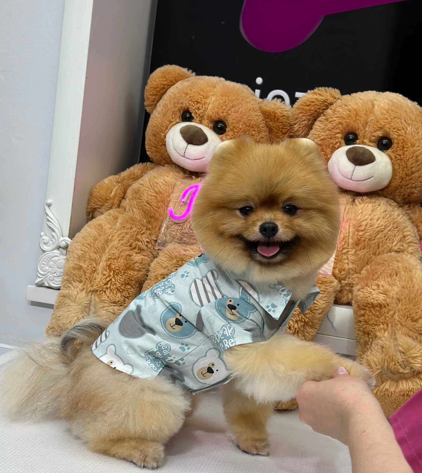 Teddy Gömlek