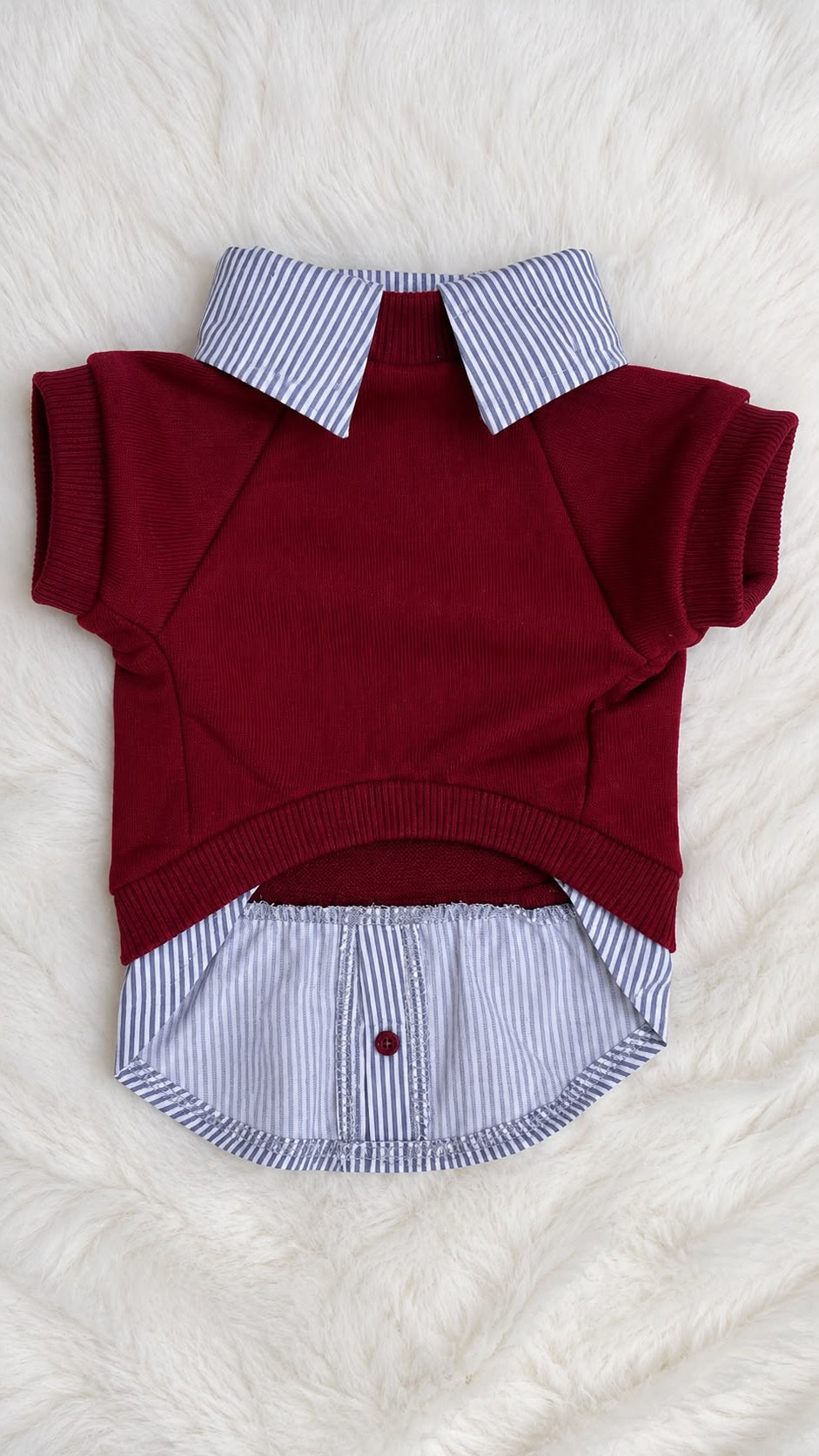 Bordo Teddy Sweatshirt