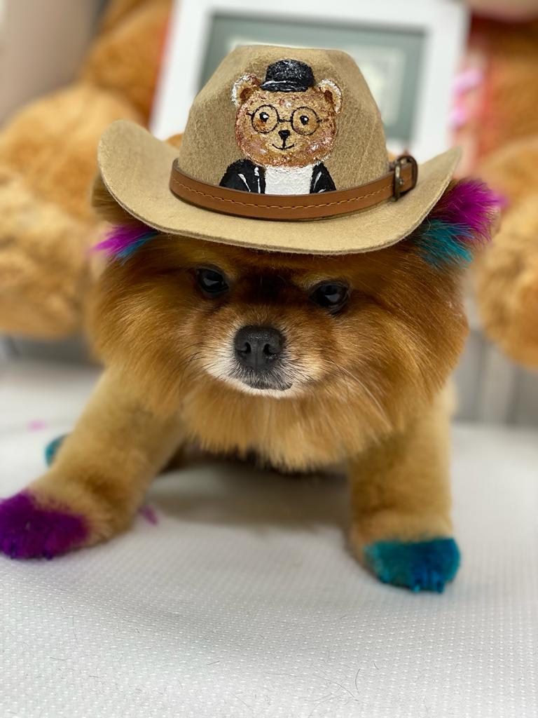 Kovboy Şapka