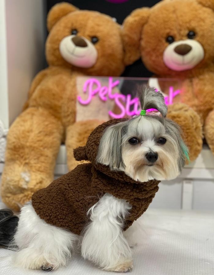 Teddy Yelek