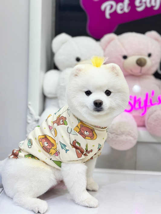 Camper Bear Basic